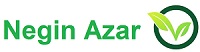 نگین آذر
